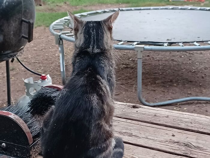 His Name Is Tubby Tubby