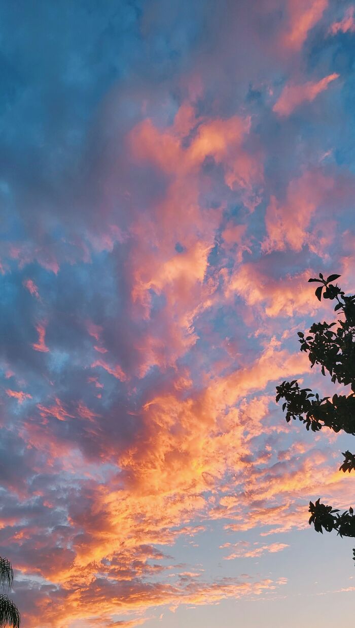 California Sunsets Baby