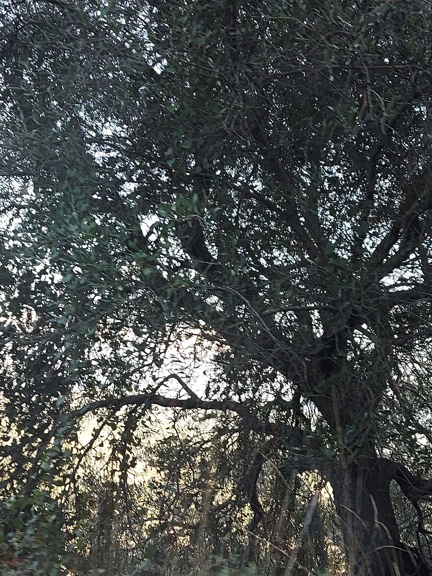 A Touchy Subject A Touchy Subject