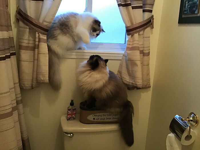 Mad At Each Other, Who Gets The Window Seat.....