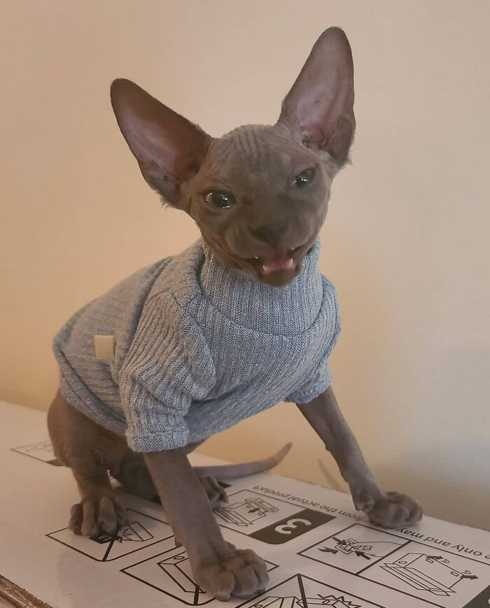 Skallet Not Feeling His Threads