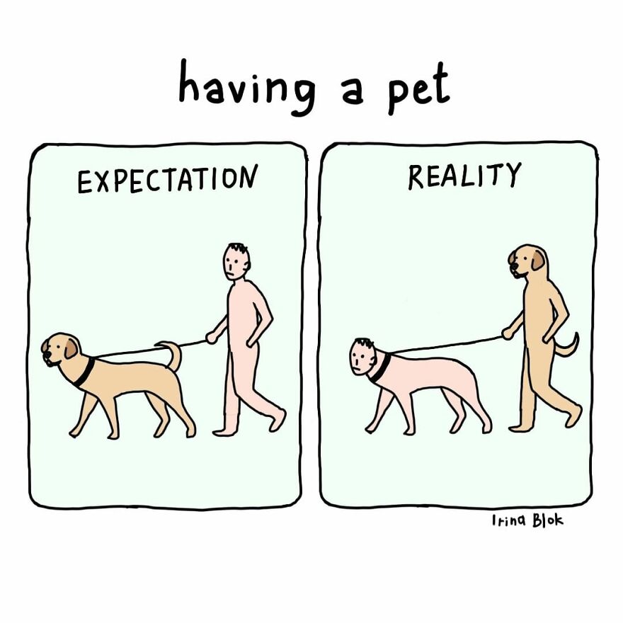 Pets Rule