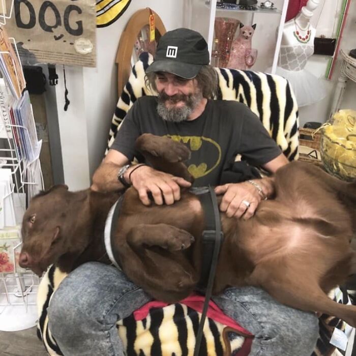 Homeless Man Sheds Tears After Having A Wholesome Reunion With His Missing Labrador Homeless Man Sheds Tears After Having A Wholesome Reunion With His Missing Labrador