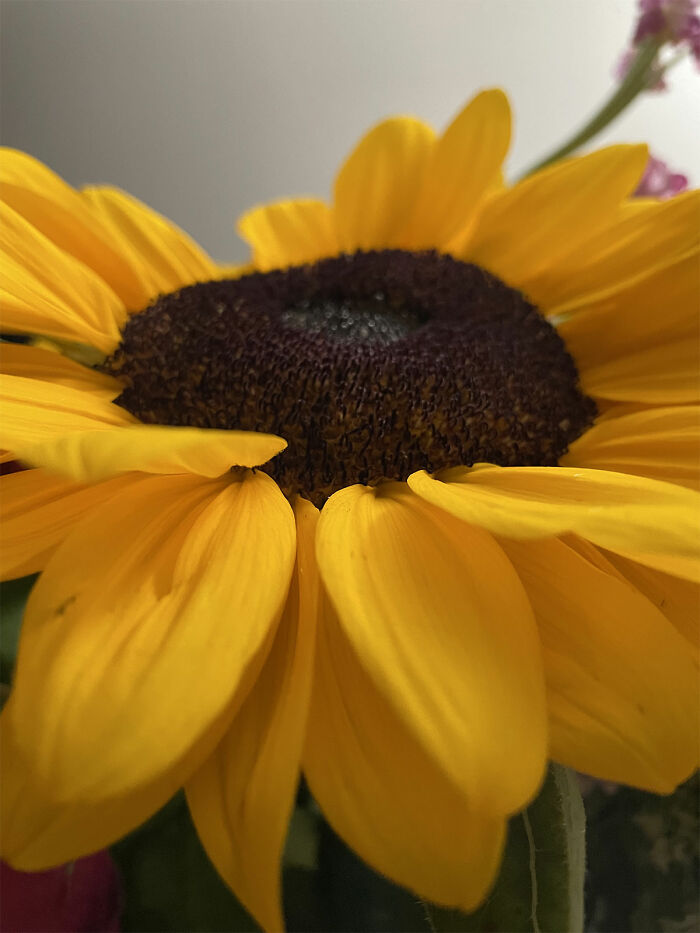 A Colorful, Peaceful Break From The Chaos Of The World