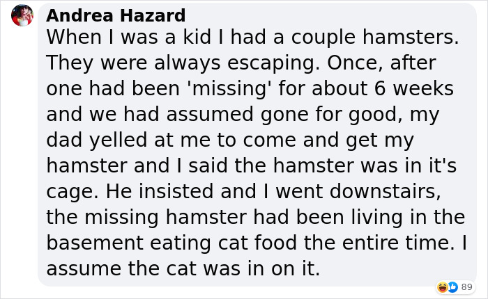 Cat Was Supposed To Catch A Mouse Living In The House, But Made Friends With It Instead Cat Was Supposed To Catch A Mouse Living In The House, But Made Friends With It Instead