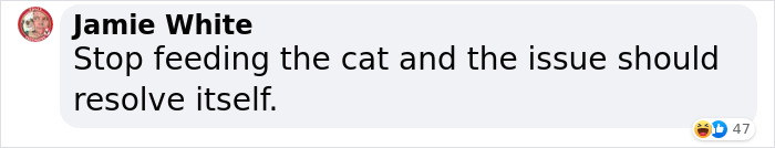 Cat Was Supposed To Catch A Mouse Living In The House, But Made Friends With It Instead Cat Was Supposed To Catch A Mouse Living In The House, But Made Friends With It Instead