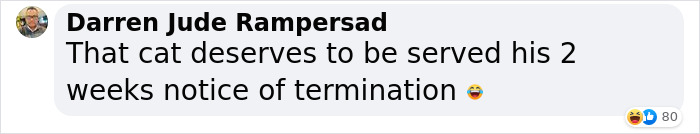 Cat Was Supposed To Catch A Mouse Living In The House, But Made Friends With It Instead Cat Was Supposed To Catch A Mouse Living In The House, But Made Friends With It Instead
