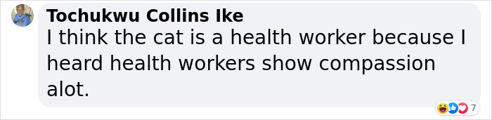 Cat Was Supposed To Catch A Mouse Living In The House, But Made Friends With It Instead Cat Was Supposed To Catch A Mouse Living In The House, But Made Friends With It Instead