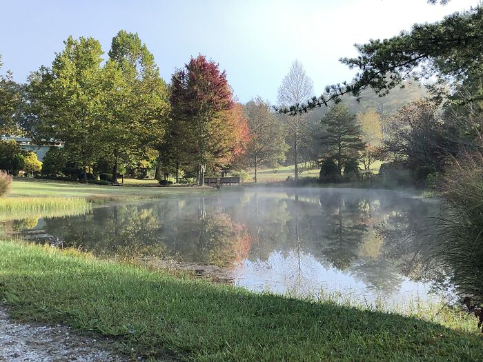 A Pond With Mist At One Of My Favorite Places