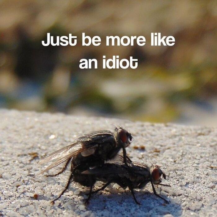 Artificial Inspiration