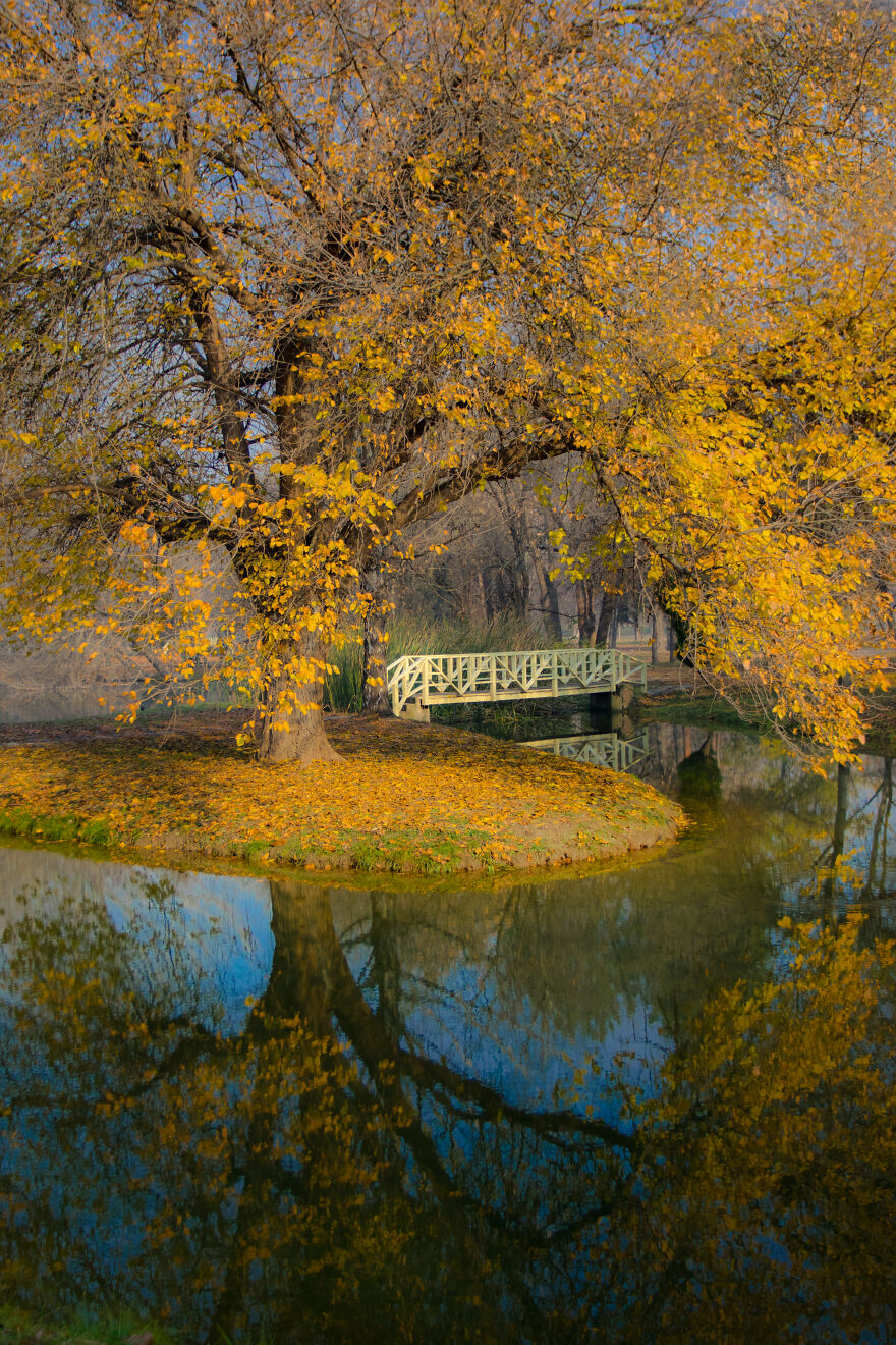 Autumn Begins Today, And Here Are My 12 Photos That Show What Autumn's Like In Macedonia