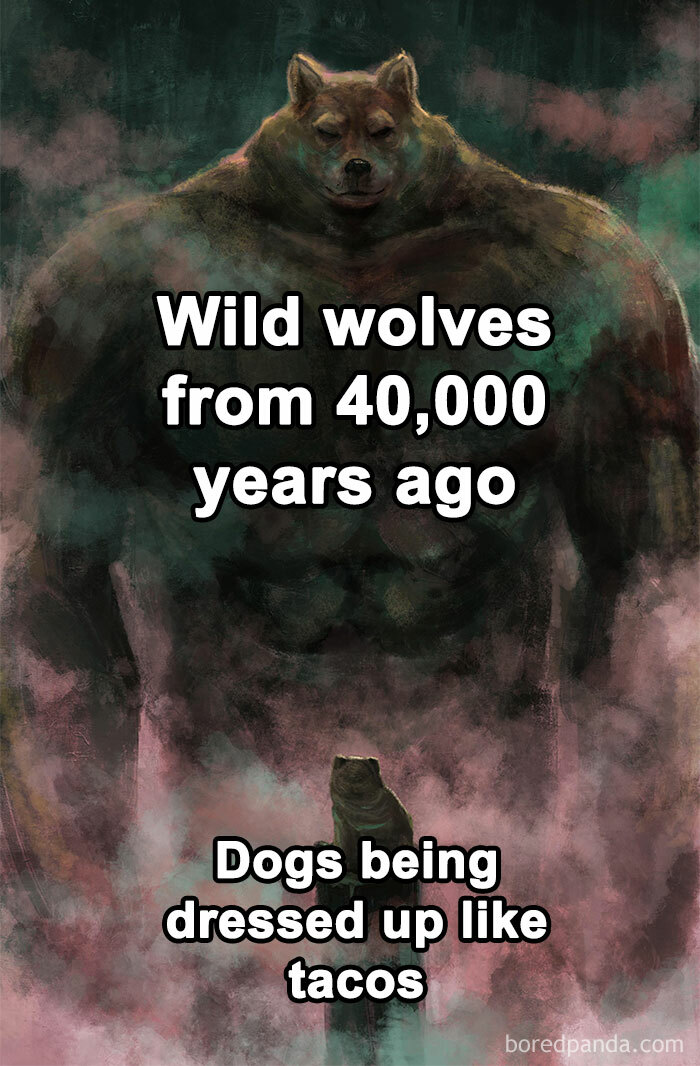 Domestication Always Comes With A Heavy Price