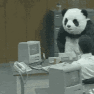 sanaawoodgett_1 avatar