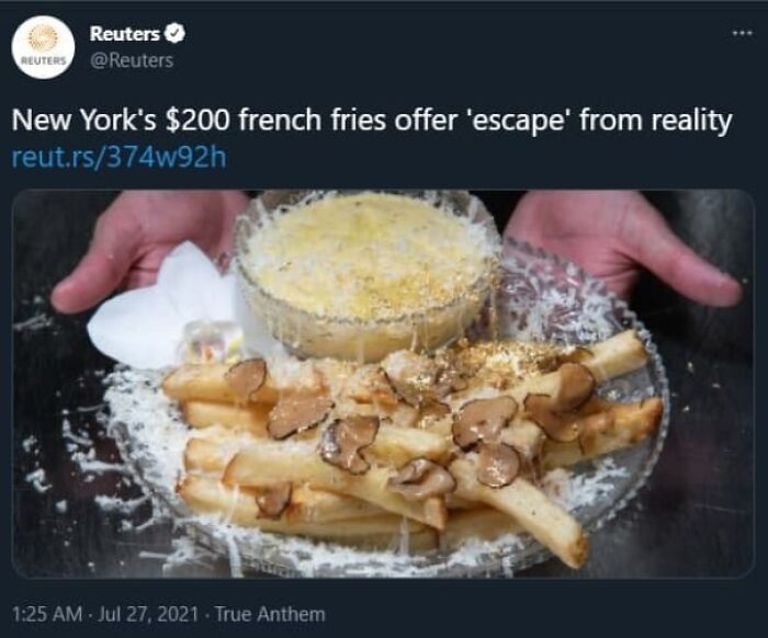 What The Hell Is This