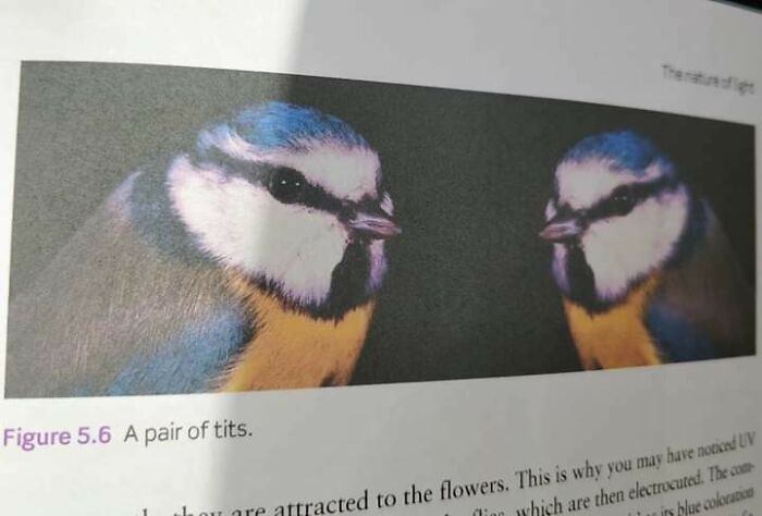 Author Having A Laugh