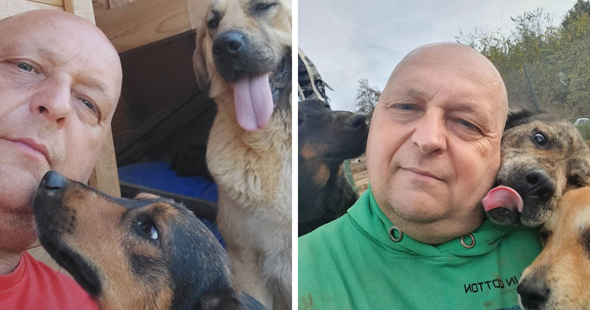 Serbian Man Started A Shelter With His Mother Over 20 Years Ago, Now He’s Taking Care Of More Than A Thousand DogsSerbian Man Started A Shelter With His Mother Over 20 Years Ago, Now He’s Taking Care Of More Than A Thousand Dogs