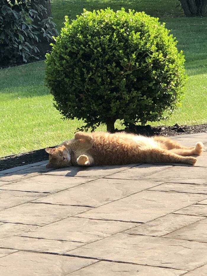 Sometimes We Have To Check If He’s Breathing