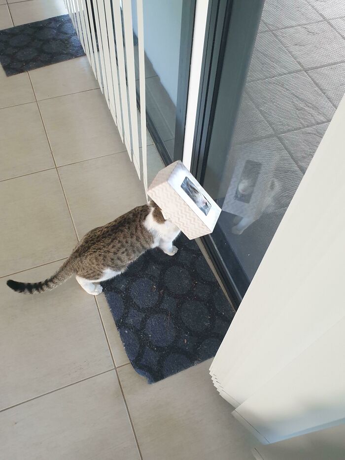 What I Came Home To (Dug Out Of Trash) No Idea How Long He Was Like This