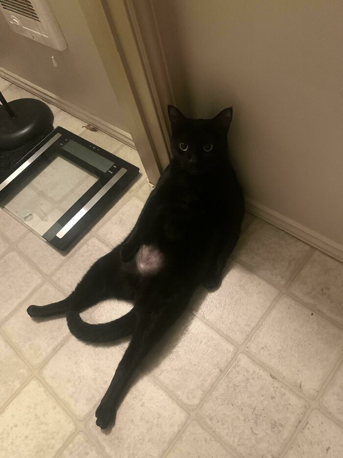 She’s Had A Long Day