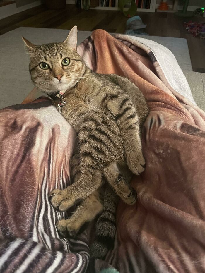 How Is This Comfortable?!