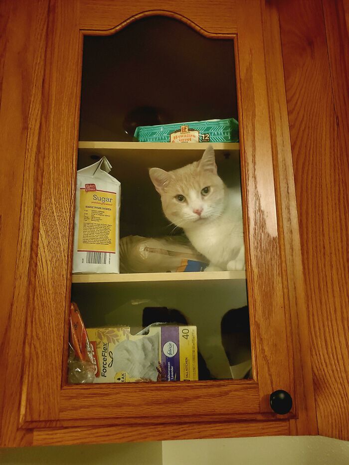 And It Looks Like It Time For Child Safety Locks