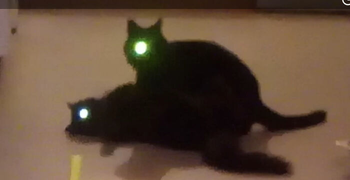 Didn't Mean To Take A Picture With The Flash On