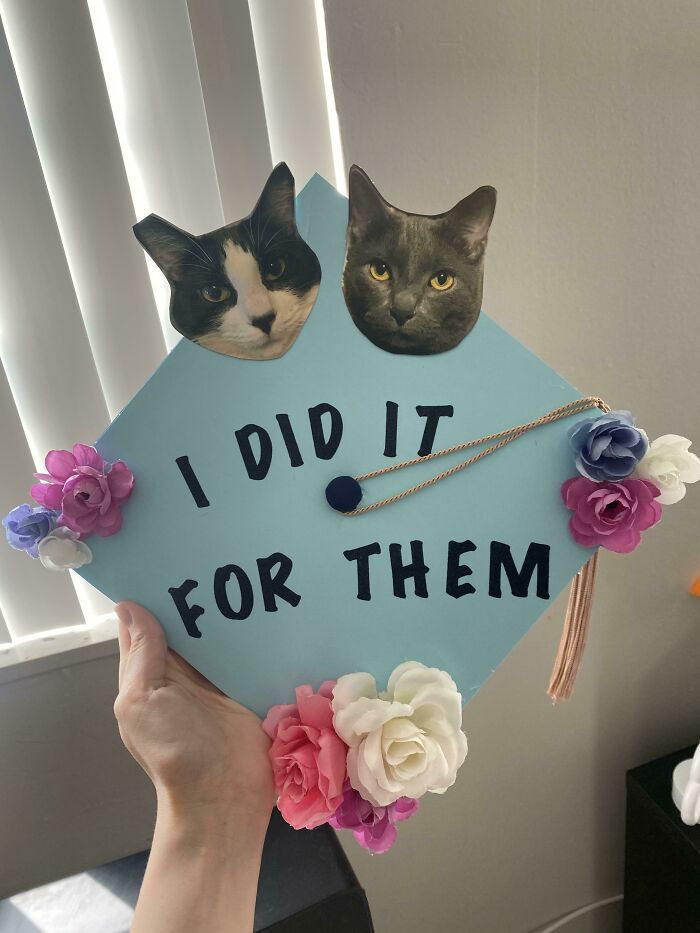 I Figured You All Would Appreciate My Graduation Cap