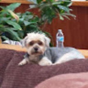 jennilynnkmiotek avatar