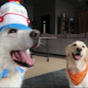 isabellabatrice avatar