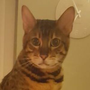 stephanie_case avatar