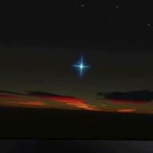 karenmiller67 avatar