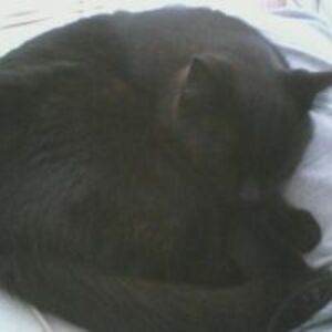 hanna_vandenberg avatar