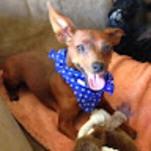 mcclainschilling avatar