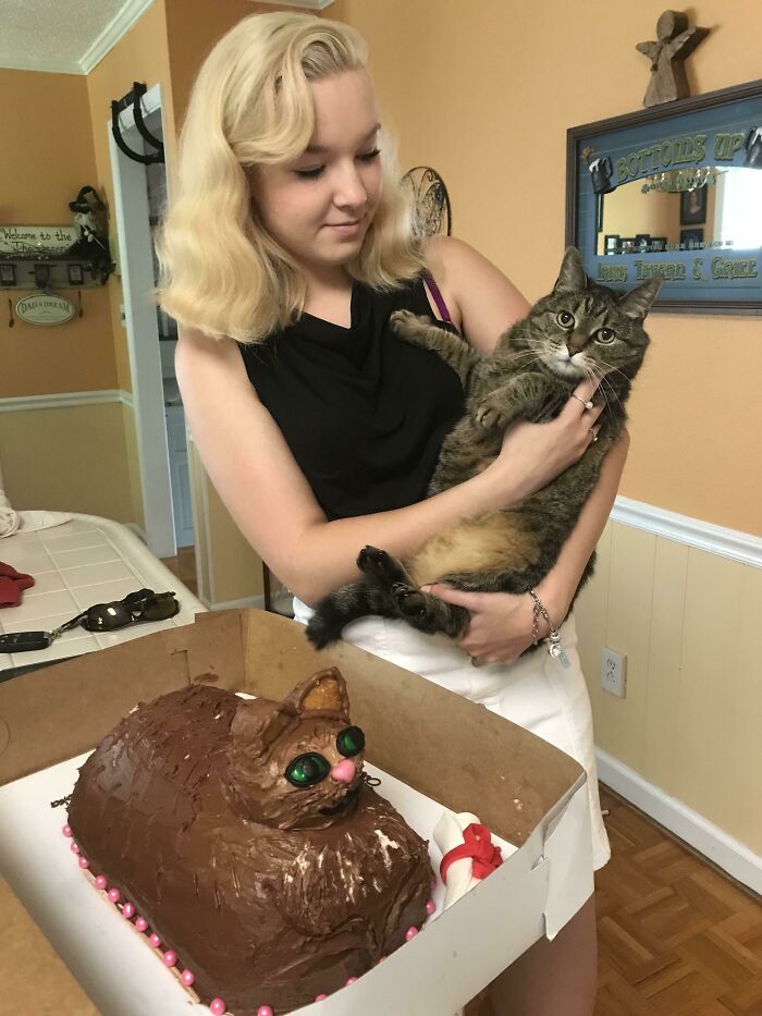 Quería una tarta que se pareciera a mi gato. Fue un fracaso, pero sigue siendo muy bonito
