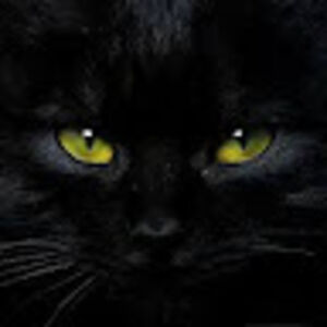 khannavallesfin avatar