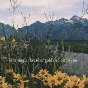 nguyetanh13062006 avatar