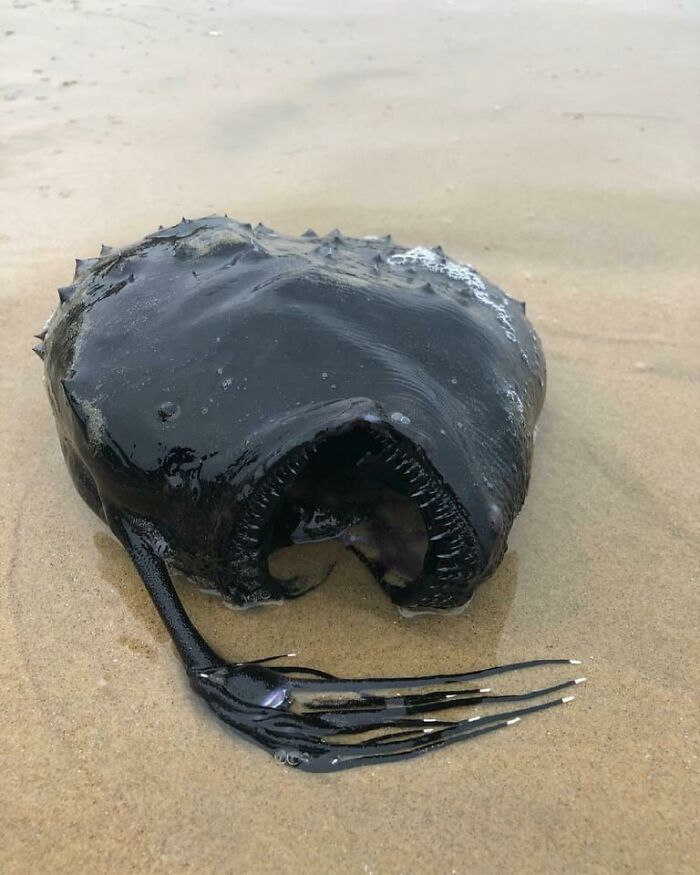 Bolso negro perdido, encontrado en la playa