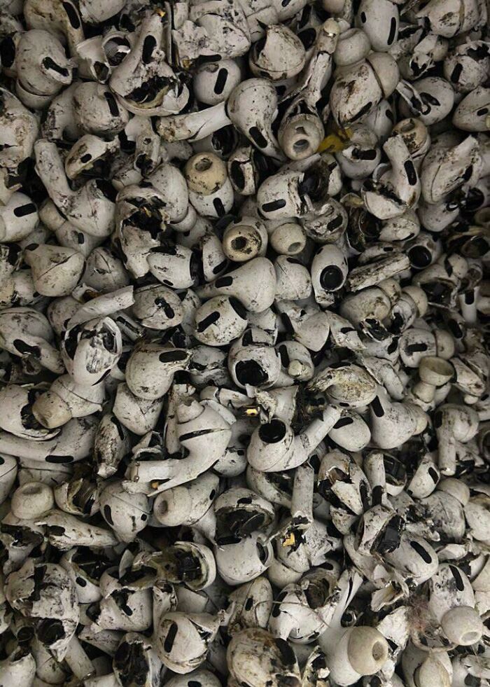 A Pile Of Human Skulls That Was Recently Discovered In The Paris Catacombs