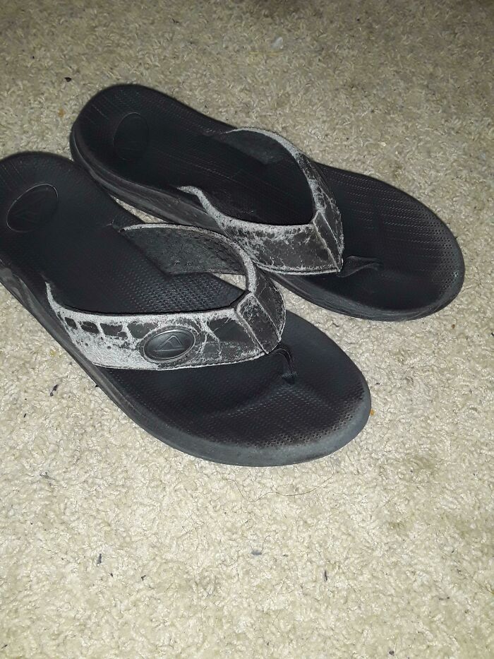 I'm Nearly 30 And I Have Had These Reef Brand Sandles Since I Was At Least 15, Perhaps 14. They Have Been Around The World While I Was In The Marines And Have Been Attached To My Feet Every Weather Permitting Day I've Gone Outside. They Are Still Strong And Show No Signs Of Slowing Down 10/10