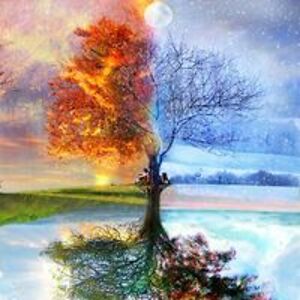 myraintoronto avatar