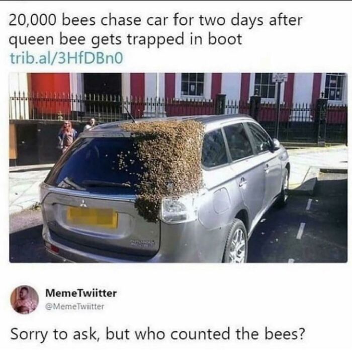 So How Many Bees Per Sq. In To Get To 20k?