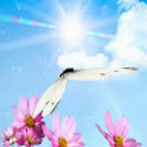 thedayofthelordisnear avatar