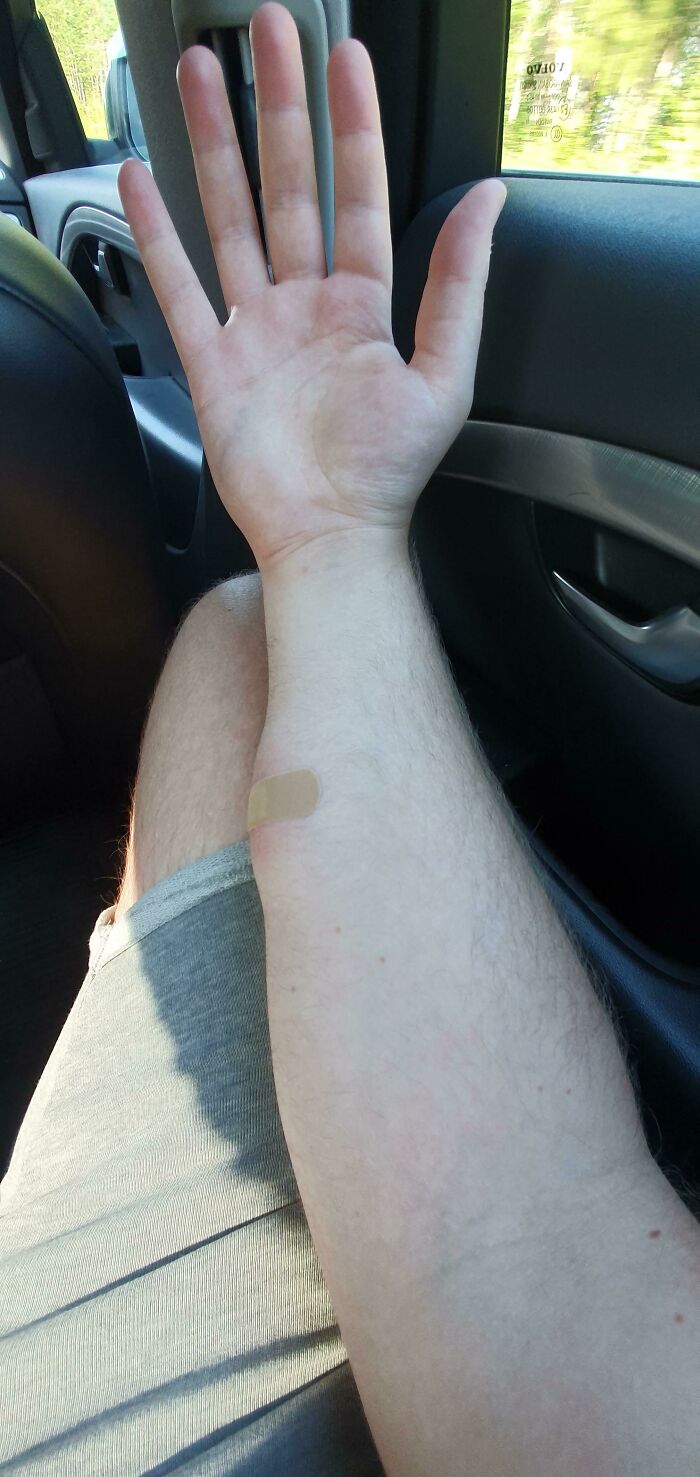 Unknown Insect Bite