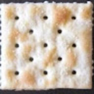 deniselarkins avatar