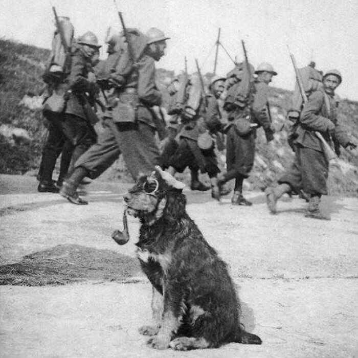 Soldados franceses pasando junto a un perro con gafas y fumando en pipa, 1915
