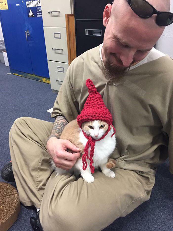 Prisoners From Indiana Were Given Cats To Look After As Part Of A Rehabilitation Scheme. Here Is One Prisoner With A Hat He Knitted For His Cat!