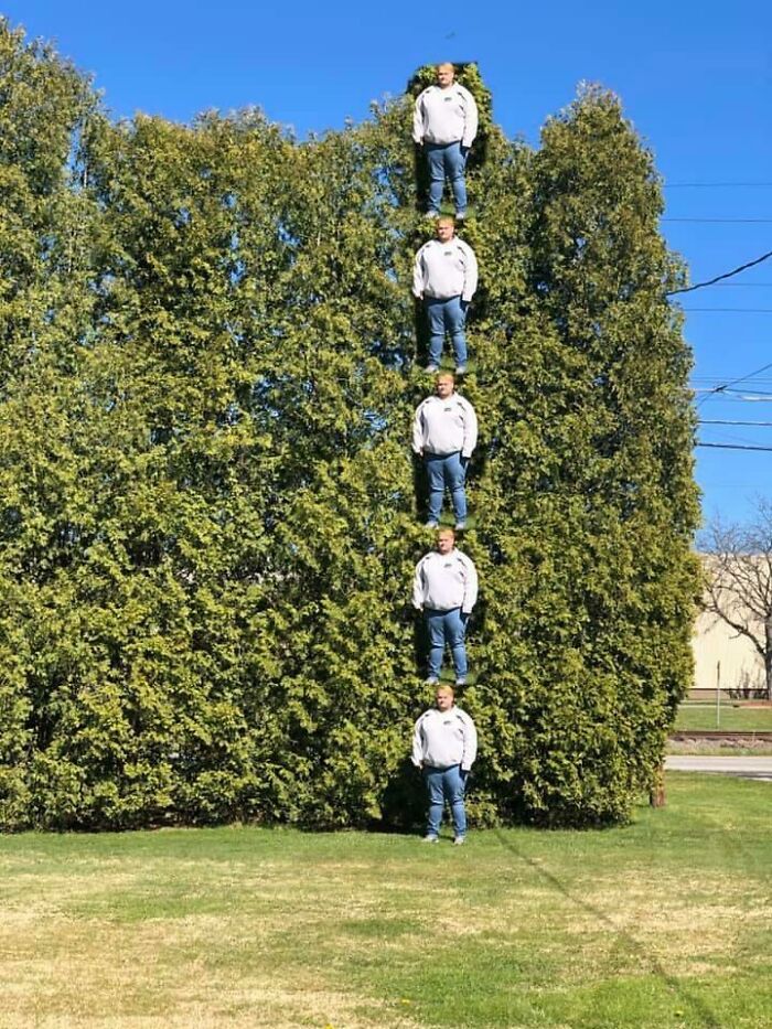 My Brother Wanted To Measure The Trees In His Yard. This Is How He Did It