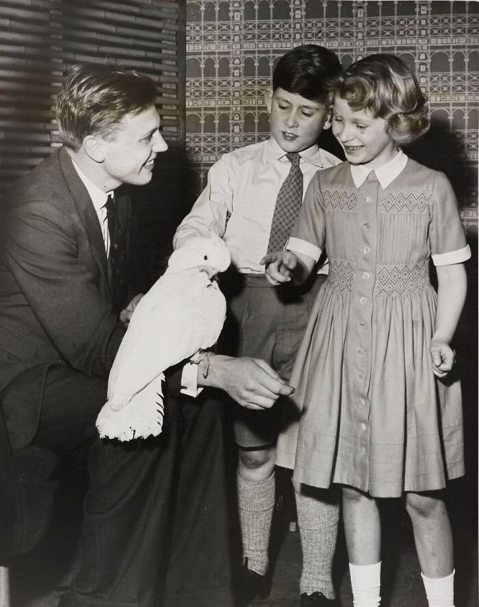 David Attenborough entretiene al Príncipe Carlos y a la Princesa Ana con una cacatúa. 1958