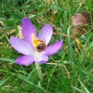 jacquelyn_woods avatar