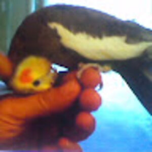 georgettekostopoulos avatar